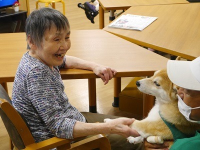 野の香南：いい日だワン♪