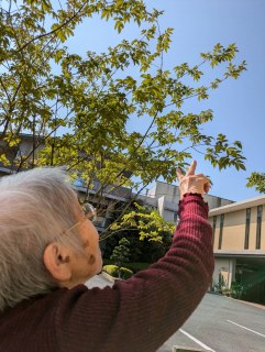 晩夏を感じながらのお散歩