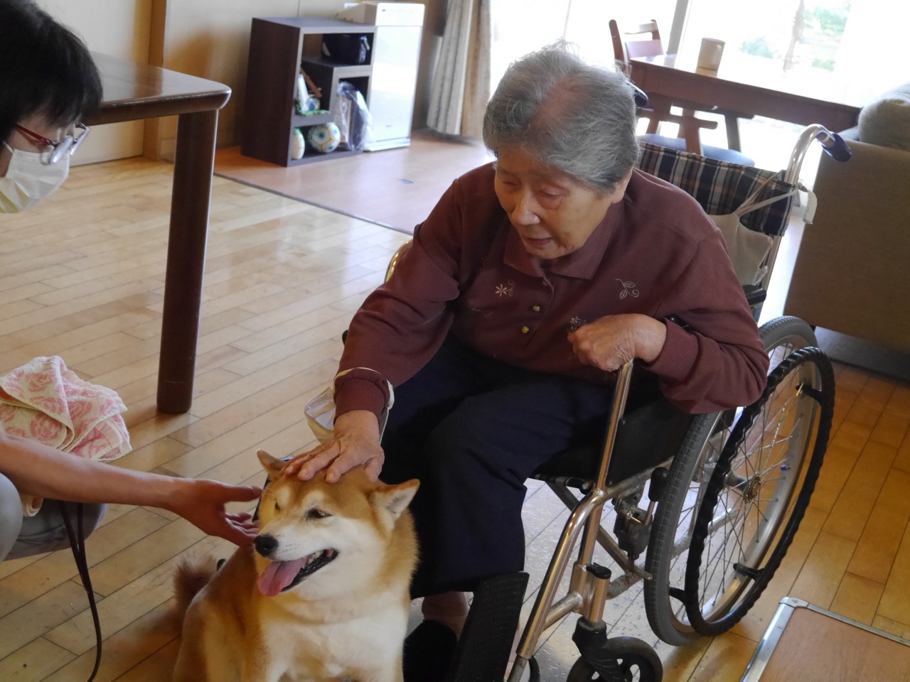 きらめきの街東ユニット　アニマルセラピー