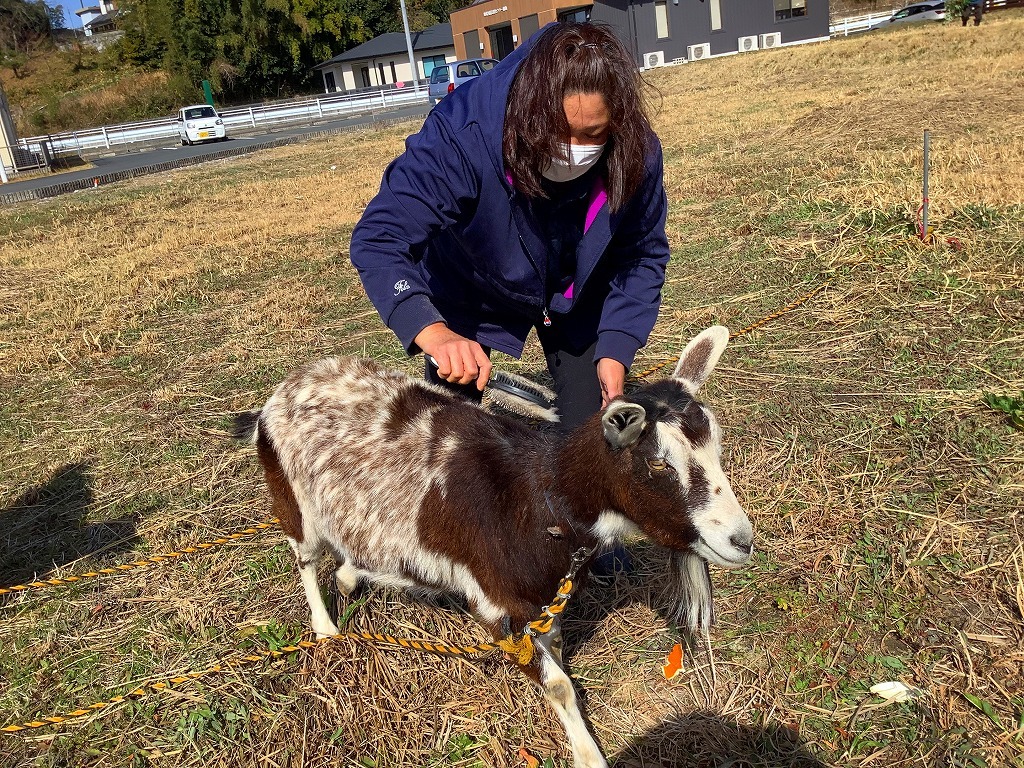 最近のミルク・クモン・ユキの様子。