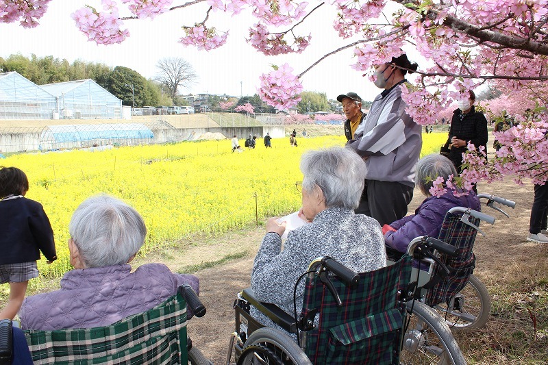 ショートステイ　東大山河津桜